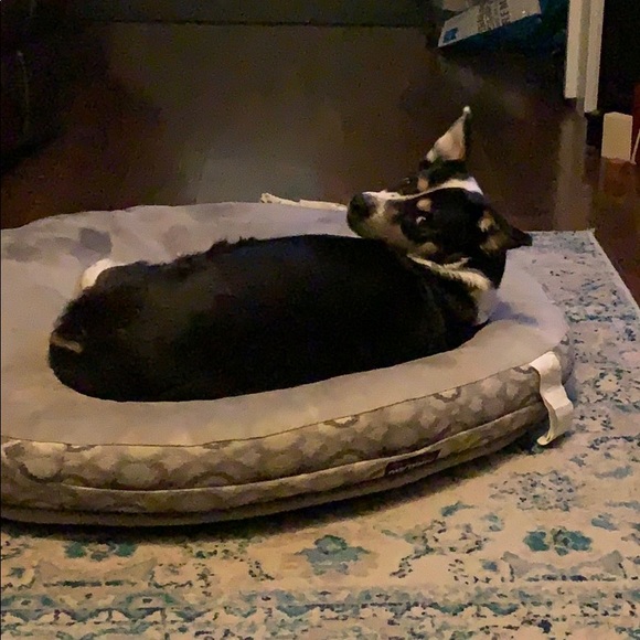 Meet your Posher, Anita - Picture 1 of 1